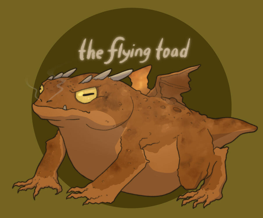 The Flying Toad Logo